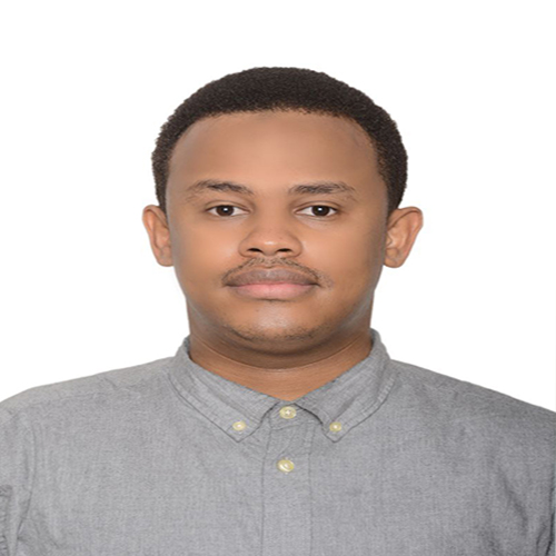 Team Member