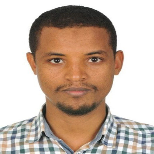 Team Member
